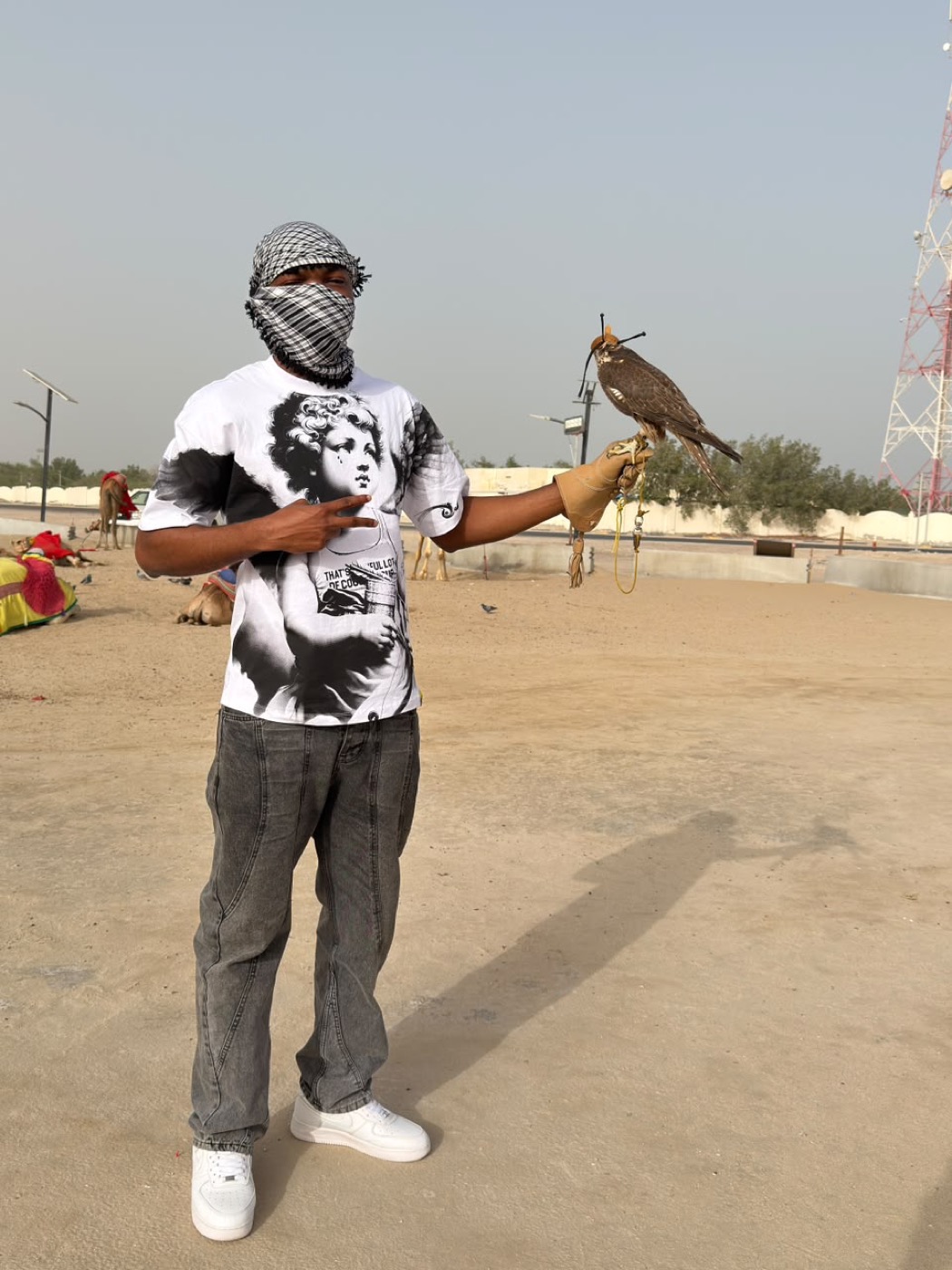 Kenyi guest in the desert near the sea